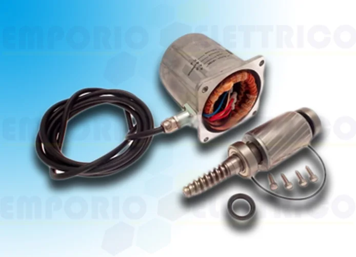 came repuesto grupo motor frog-av 119ria062