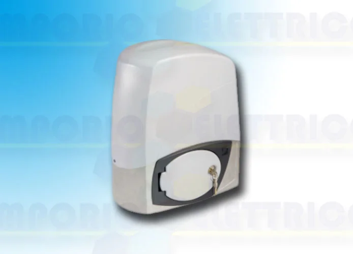 came página repuestos para motores bx-243