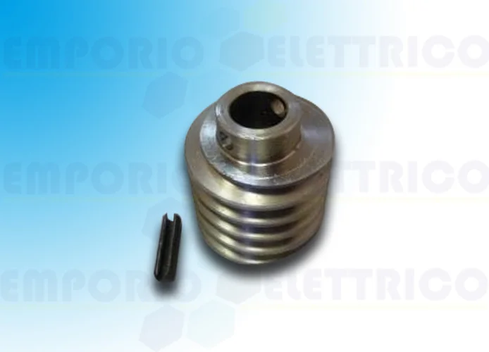 came reouesto tornillo sin fin gard 119rig094