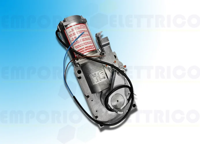 came repuesto motorreductor g2080e g2080ie 119rig406