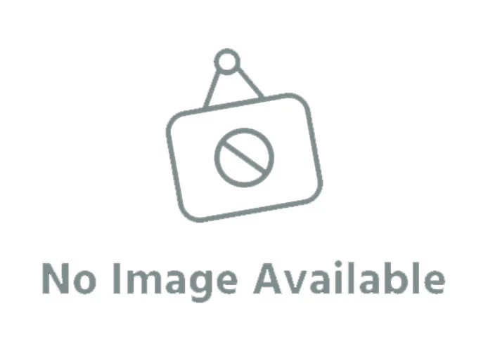 came módulo de gestión de los accesorios bus rcxn 806xg-0110