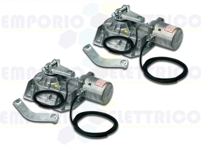 came 2 x motorreductor enterrado 230v 001frog-ae frog-ae 